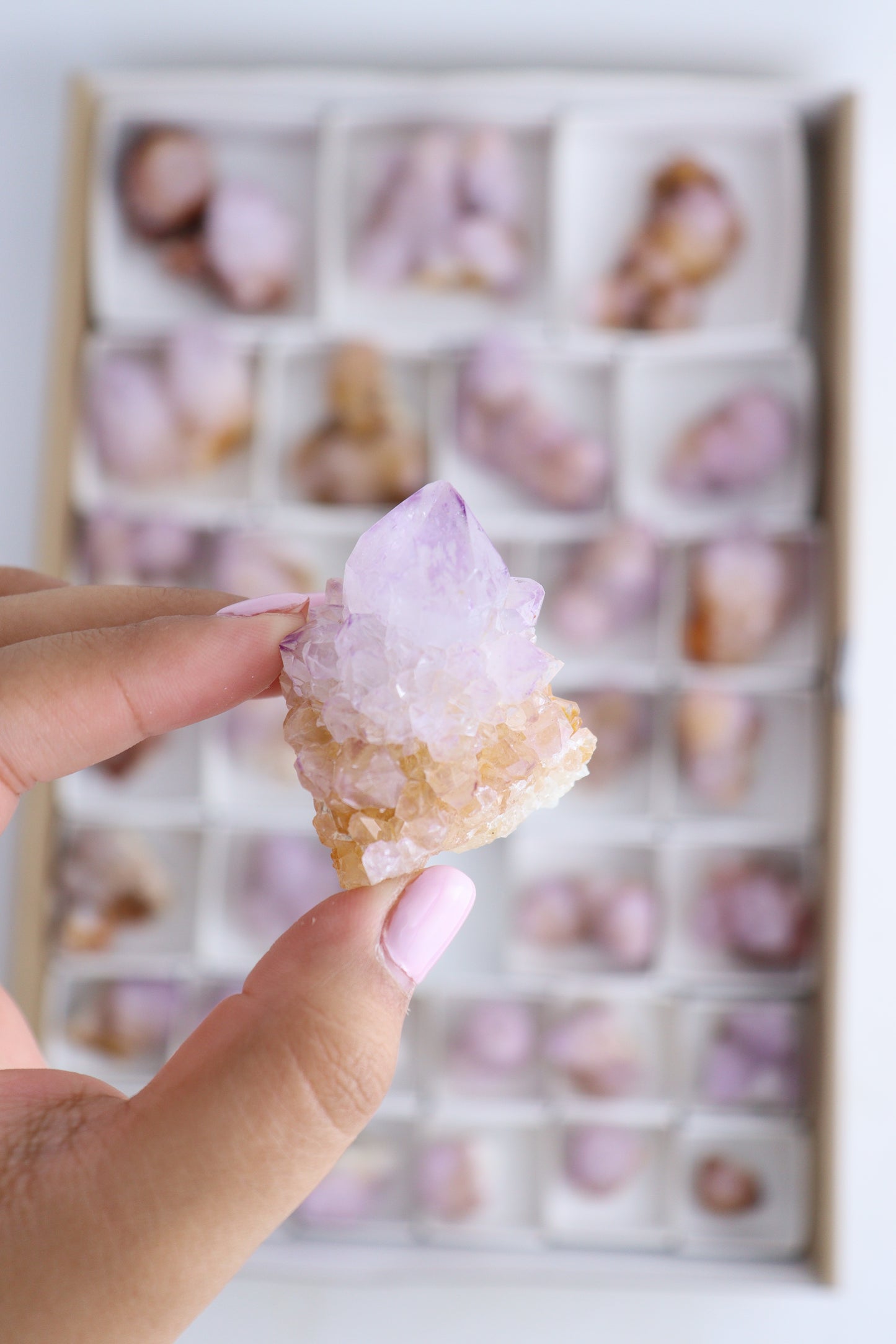 Cactus Quartz Flat - Expert Supplier of Wholesale Crystals & Bulk Gemstones