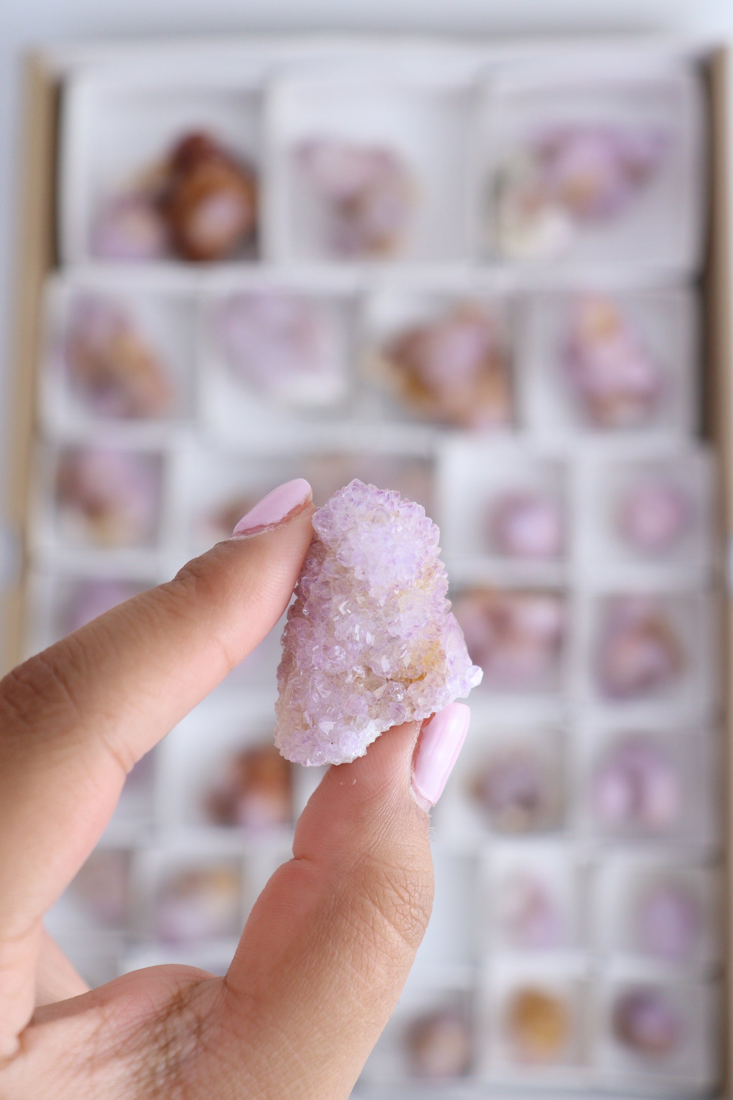 Cactus Quartz Flat - Expert Supplier of Wholesale Crystals & Bulk Gemstones
