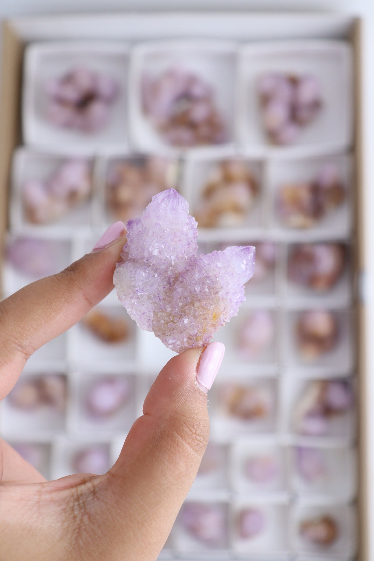 Cactus Quartz Flat - Expert Supplier of Wholesale Crystals & Bulk Gemstones