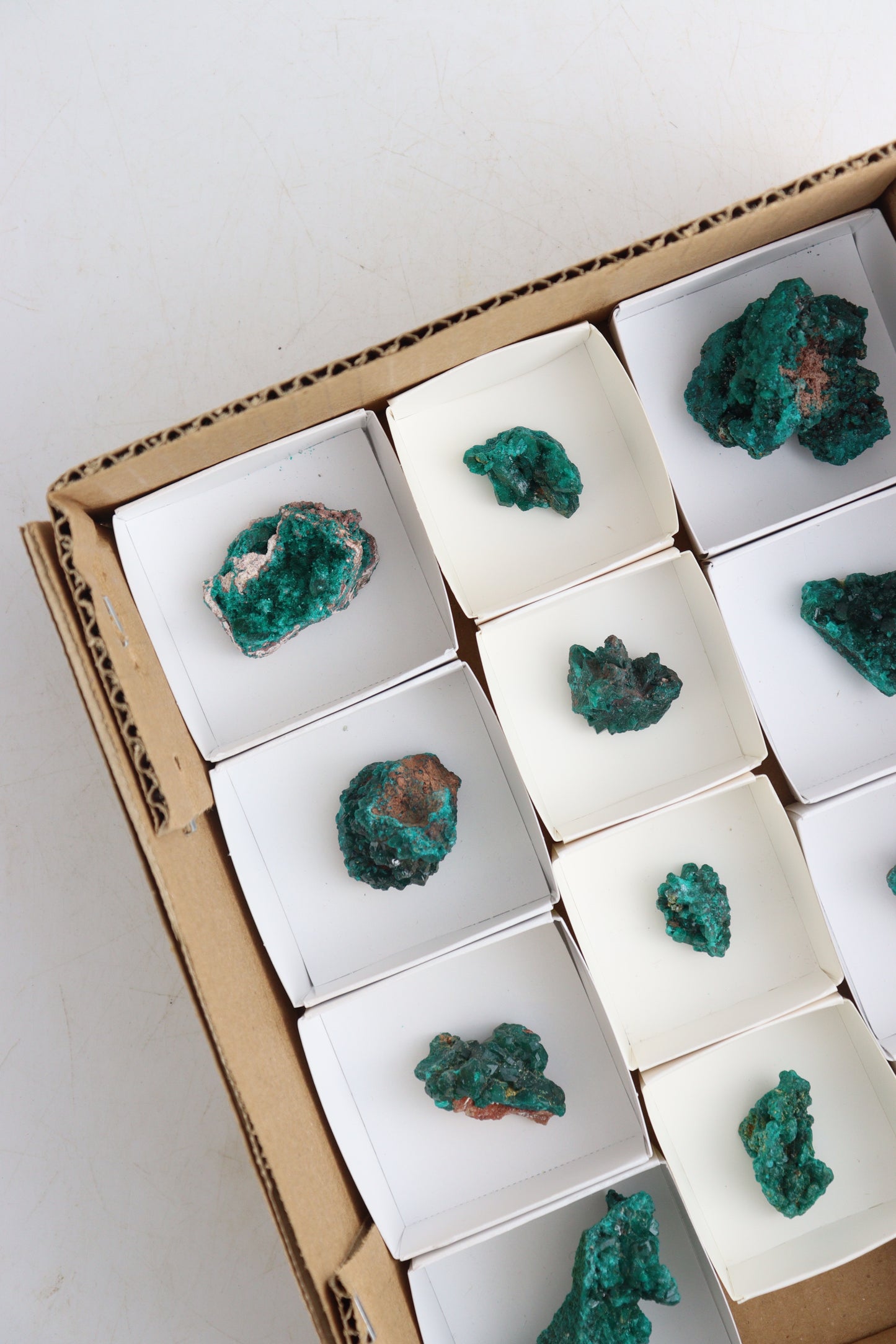 Dioptase Cluster Flat - Expert Supplier of Wholesale Crystals & Bulk Gemstones