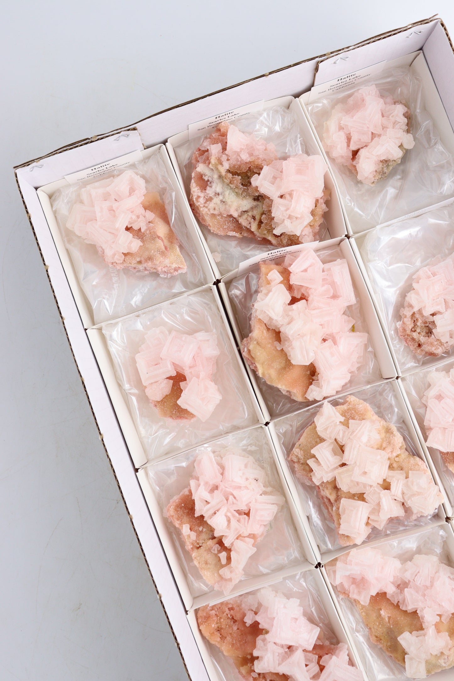 Halite Flat - Expert Supplier of Wholesale Crystals & Bulk Gemstones