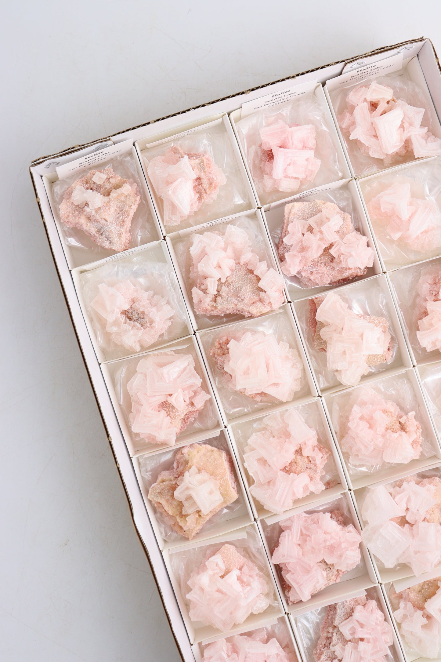 Halite Flat - Expert Supplier of Wholesale Crystals & Bulk Gemstones