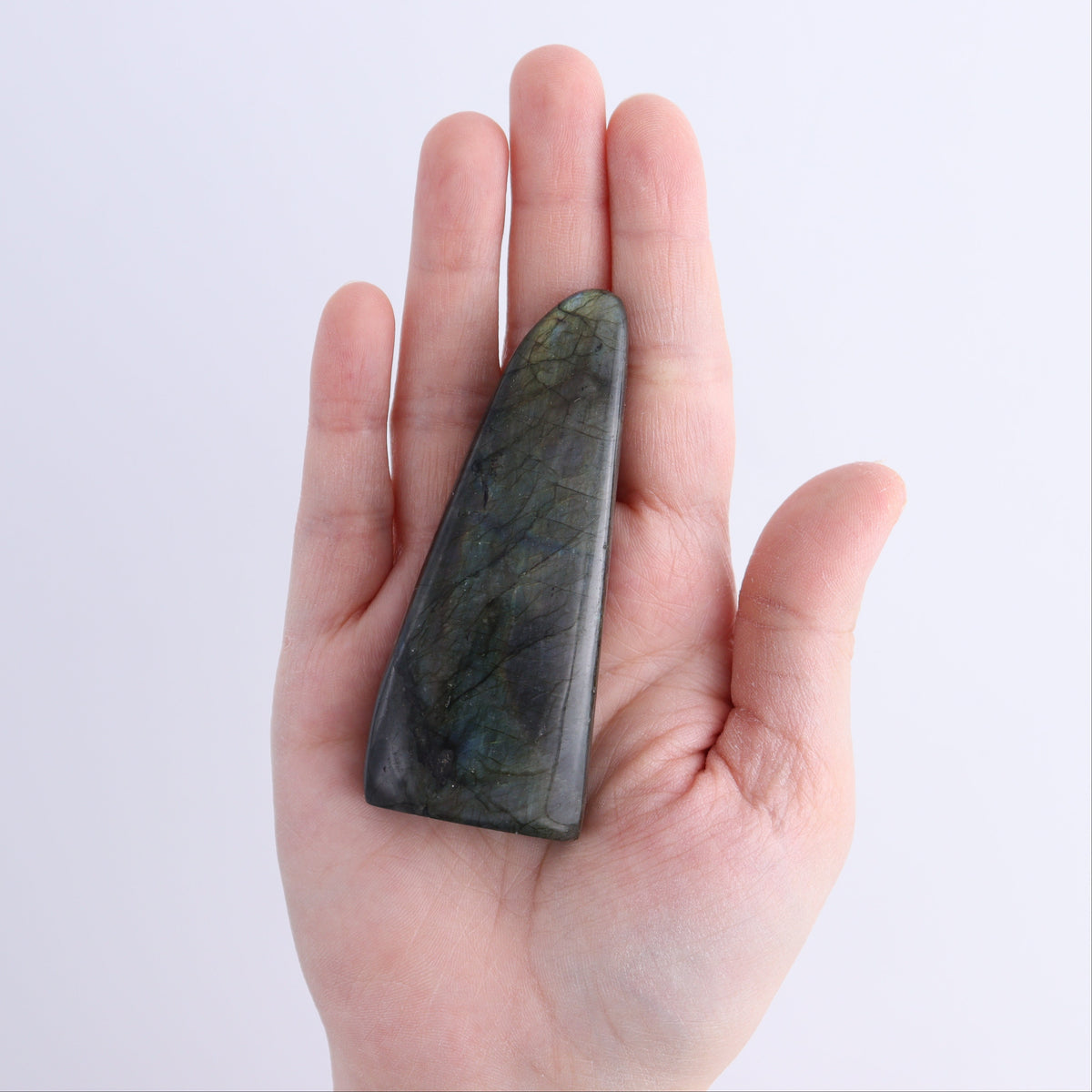 Labradorite Freeform Set of 20 | Mi Esperanza Minerals | Supplier of Crystals and Onyx