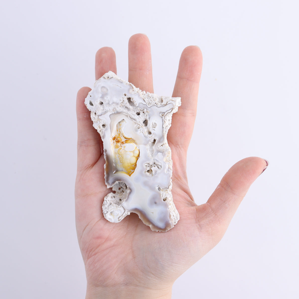 Agatized Coral Flat | Mi Esperanza Minerals | Supplier of Crystals and Onyx