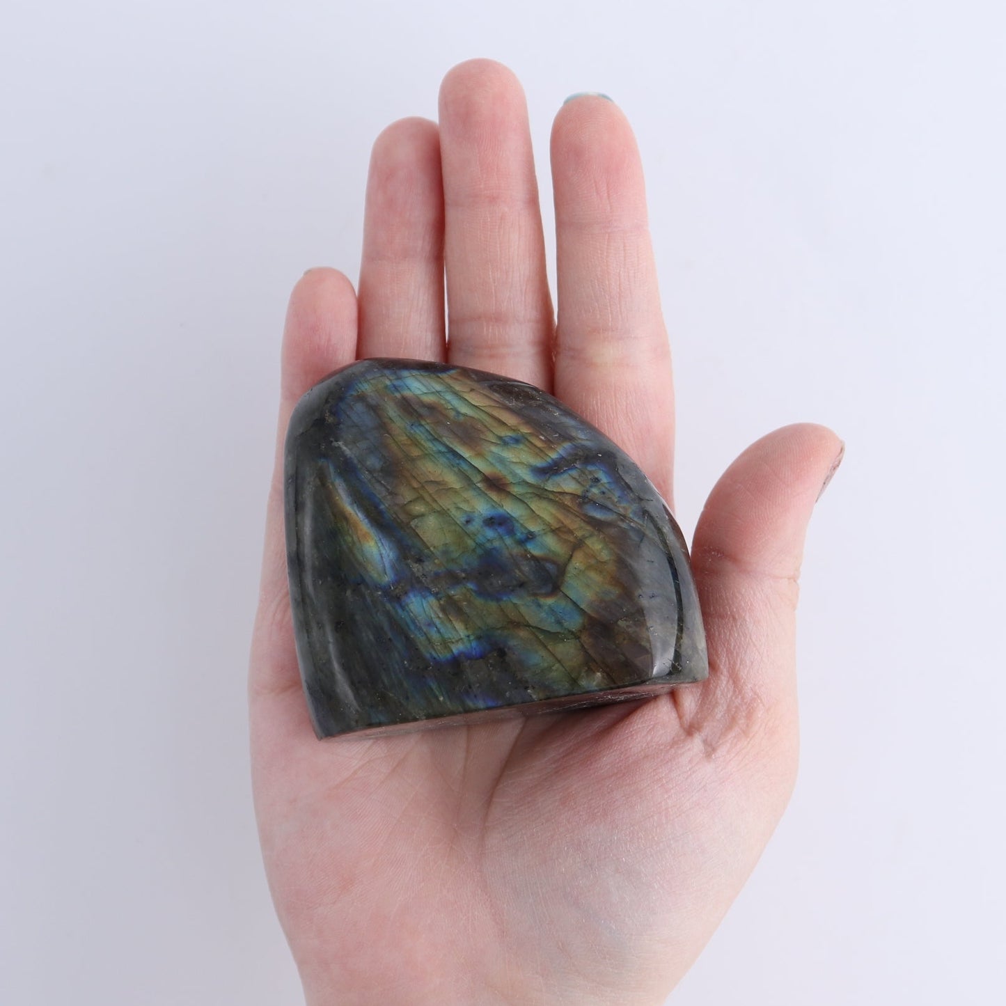 Labradorite Freeform Set of 7
