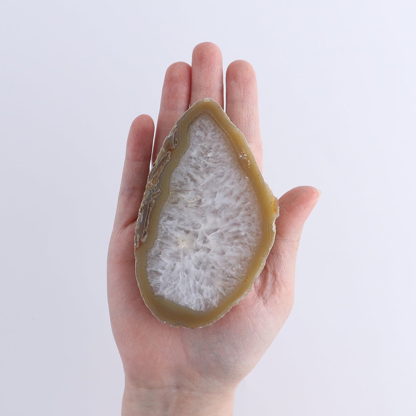 Agate Slices Set of 8 | Mi Esperanza Minerals | Supplier of Crystals and Onyx