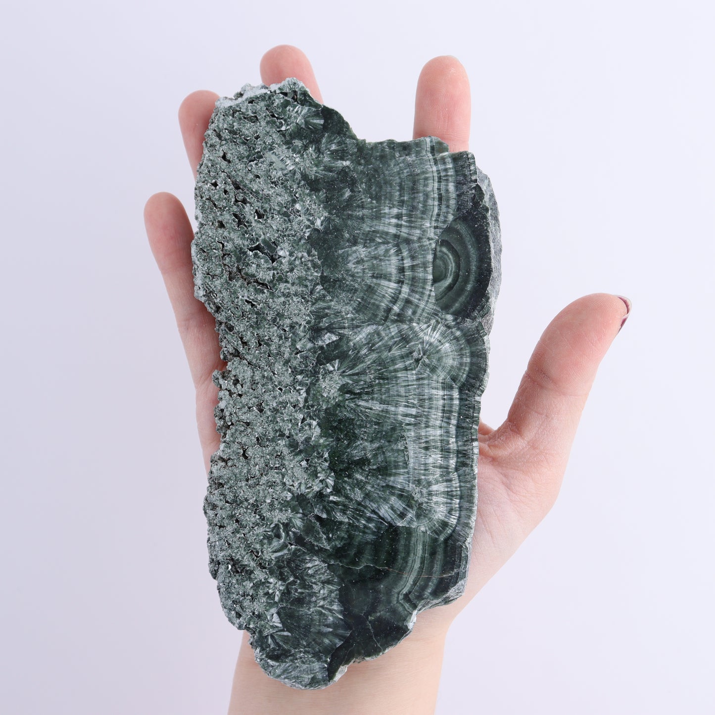 Seraphinite Slices Set of 3 | Mi Esperanza Minerals | Supplier of Crystals and Onyx