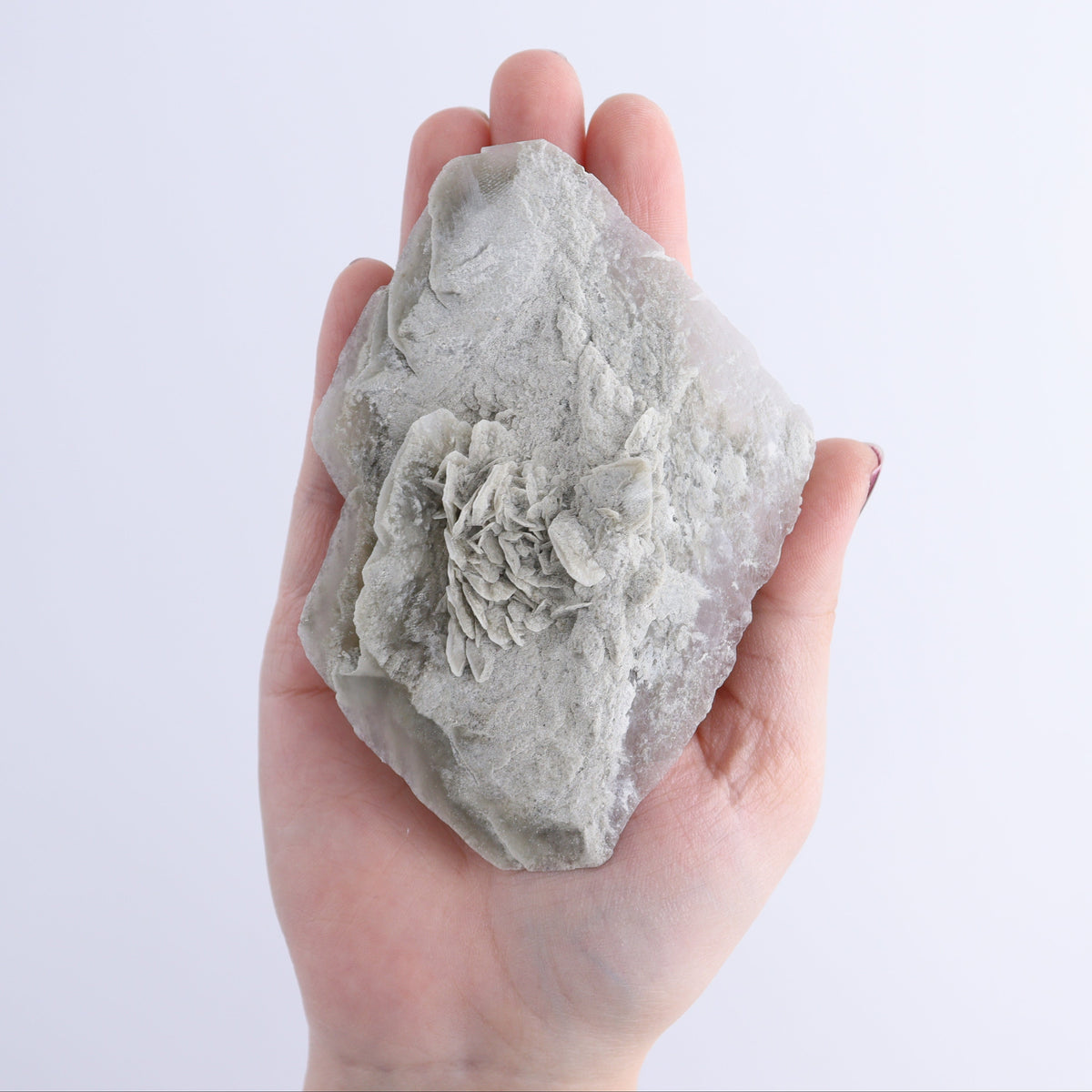 Selenite Clusters Set of 12 | Mi Esperanza Minerals | Supplier of Crystals and Onyx