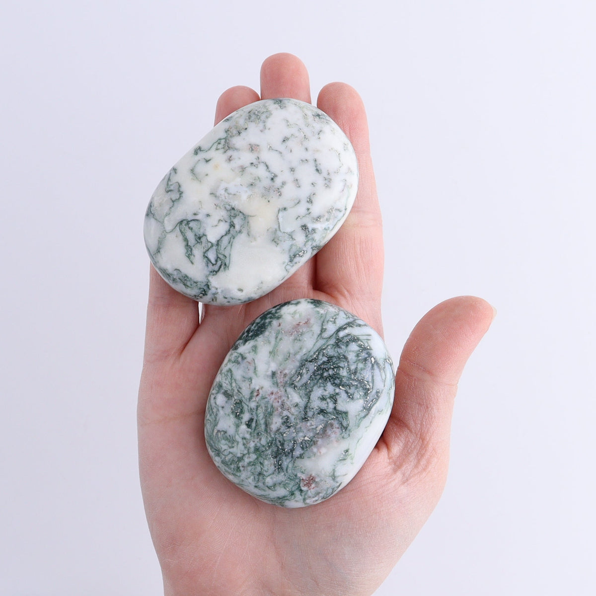 Tree Agate Palm Stones 1 kg Set | Mi Esperanza Minerals | Supplier of Crystals and Onyx