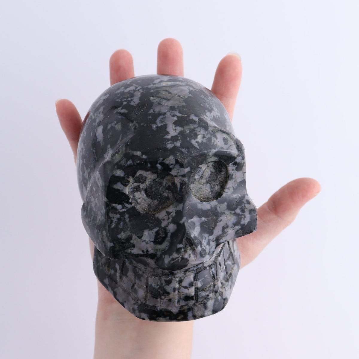Indigo Gabbro Skull | Mi Esperanza Minerals | Supplier of Crystals and Onyx