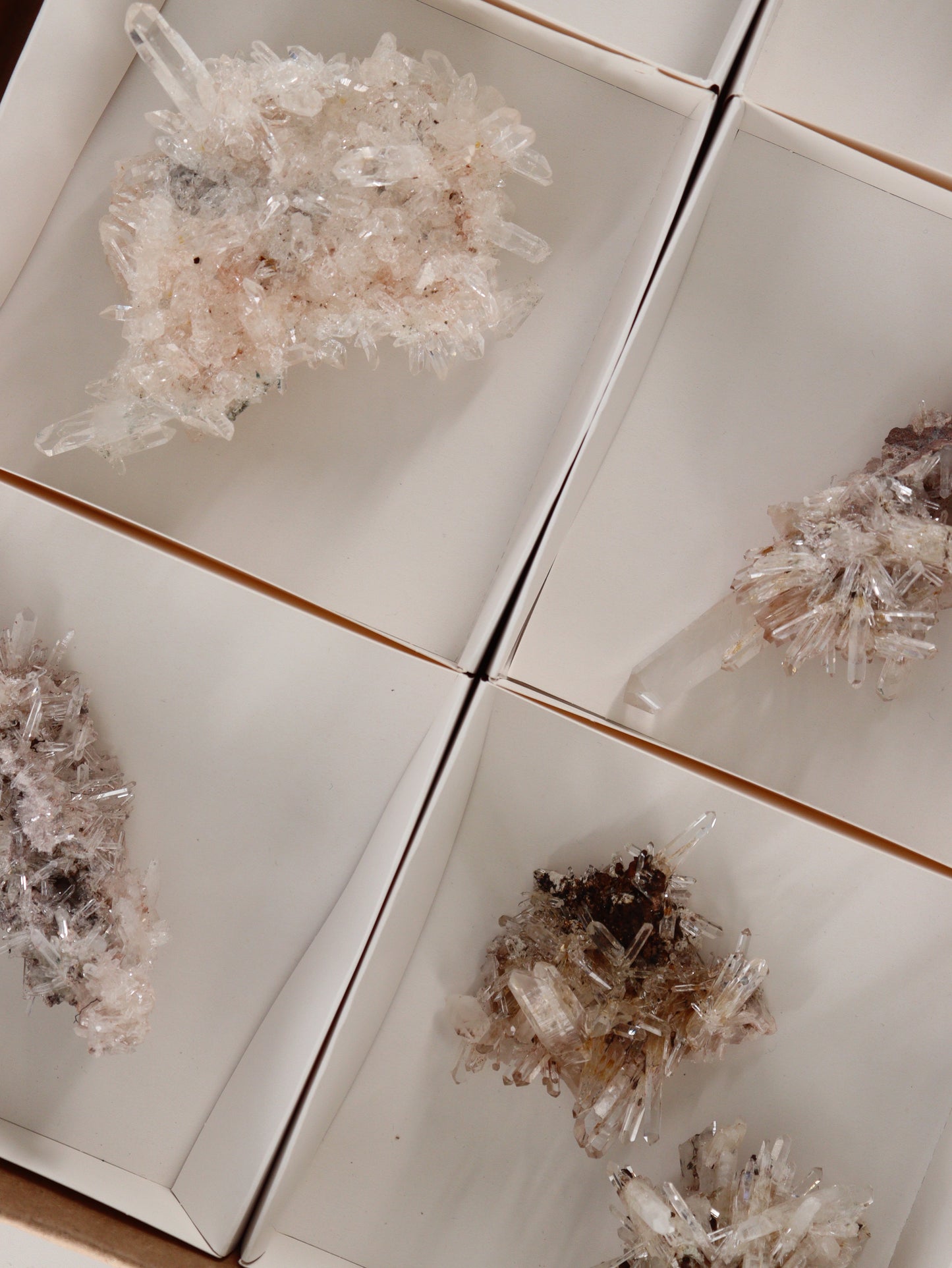 Lemurian Clusters Set of 8 | Mi Esperanza Minerals | Supplier of Crystals and Onyx
