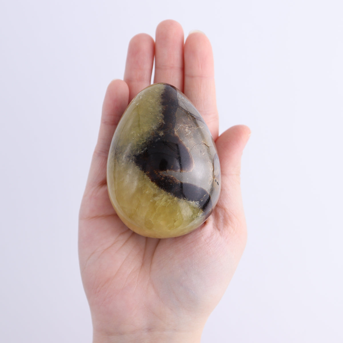 Septarian Eggs Set of 6 | Mi Esperanza Minerals | Supplier of Crystals and Onyx