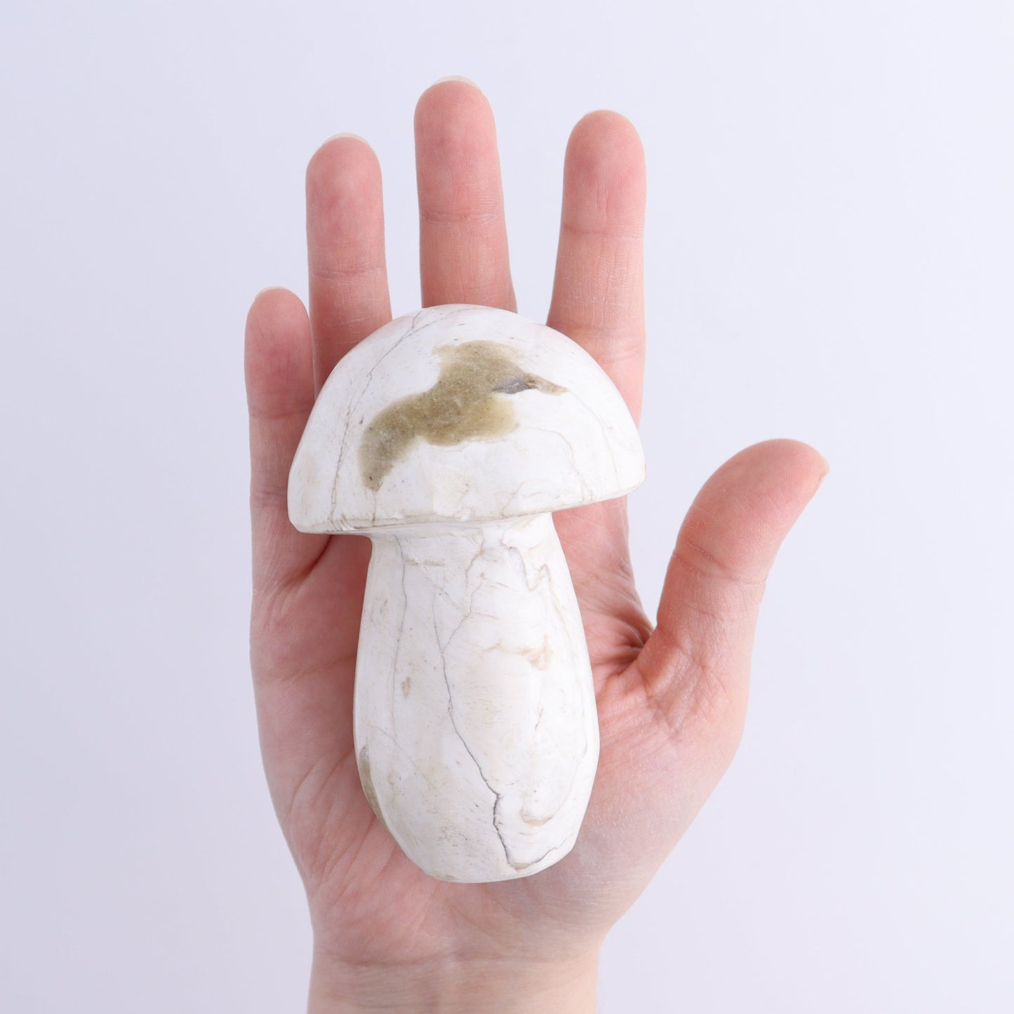 Petrified Wood Mushrooms Set of 4 | Mi Esperanza Minerals | Supplier of Crystals and Onyx