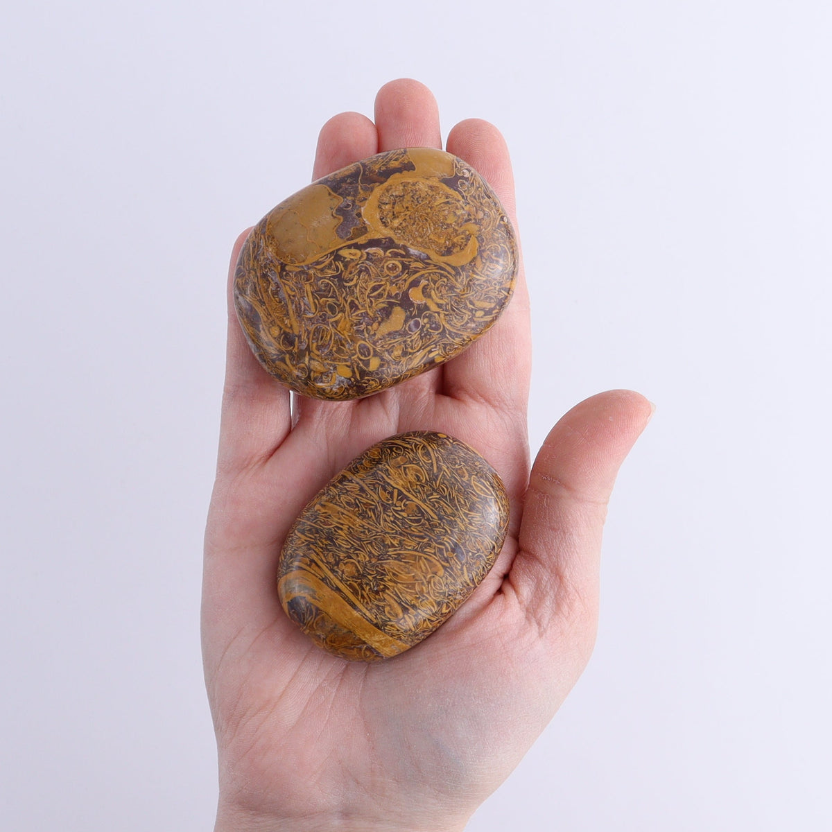 Calligraphy Jasper Palm Stones 1 kg Set | Mi Esperanza Minerals | Supplier of Crystals and Onyx