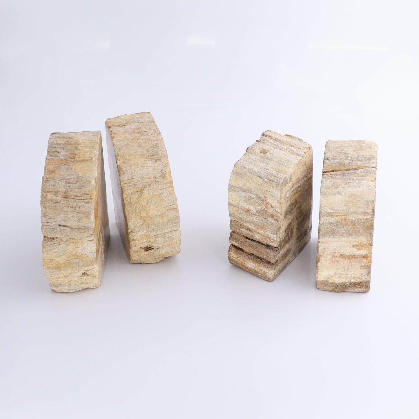 One Pair of Brown/Grey Round Petrified Wood Bookends | Mi Esperanza Minerals | Supplier of Crystals and Onyx
