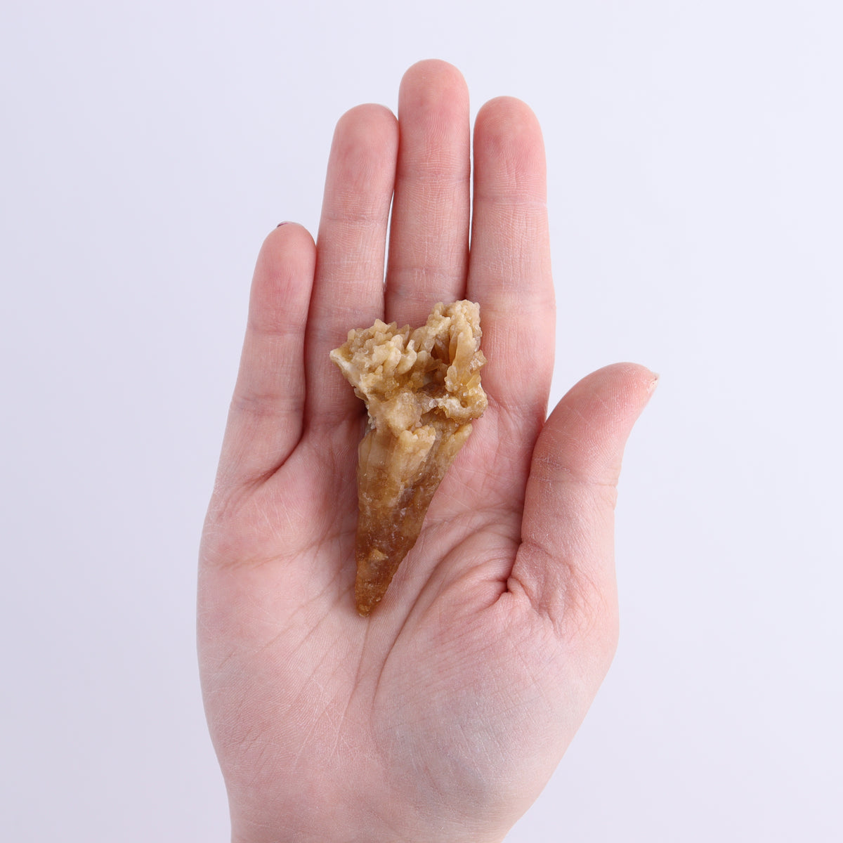 Quartz Citrine from Morocco Flat | Mi Esperanza Minerals | Supplier of Crystals and Onyx