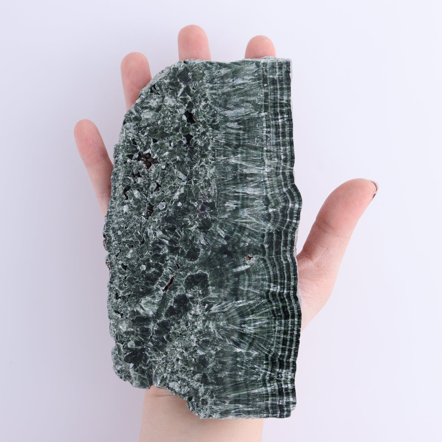 Seraphinite Slices Set of 3 | Mi Esperanza Minerals | Supplier of Crystals and Onyx