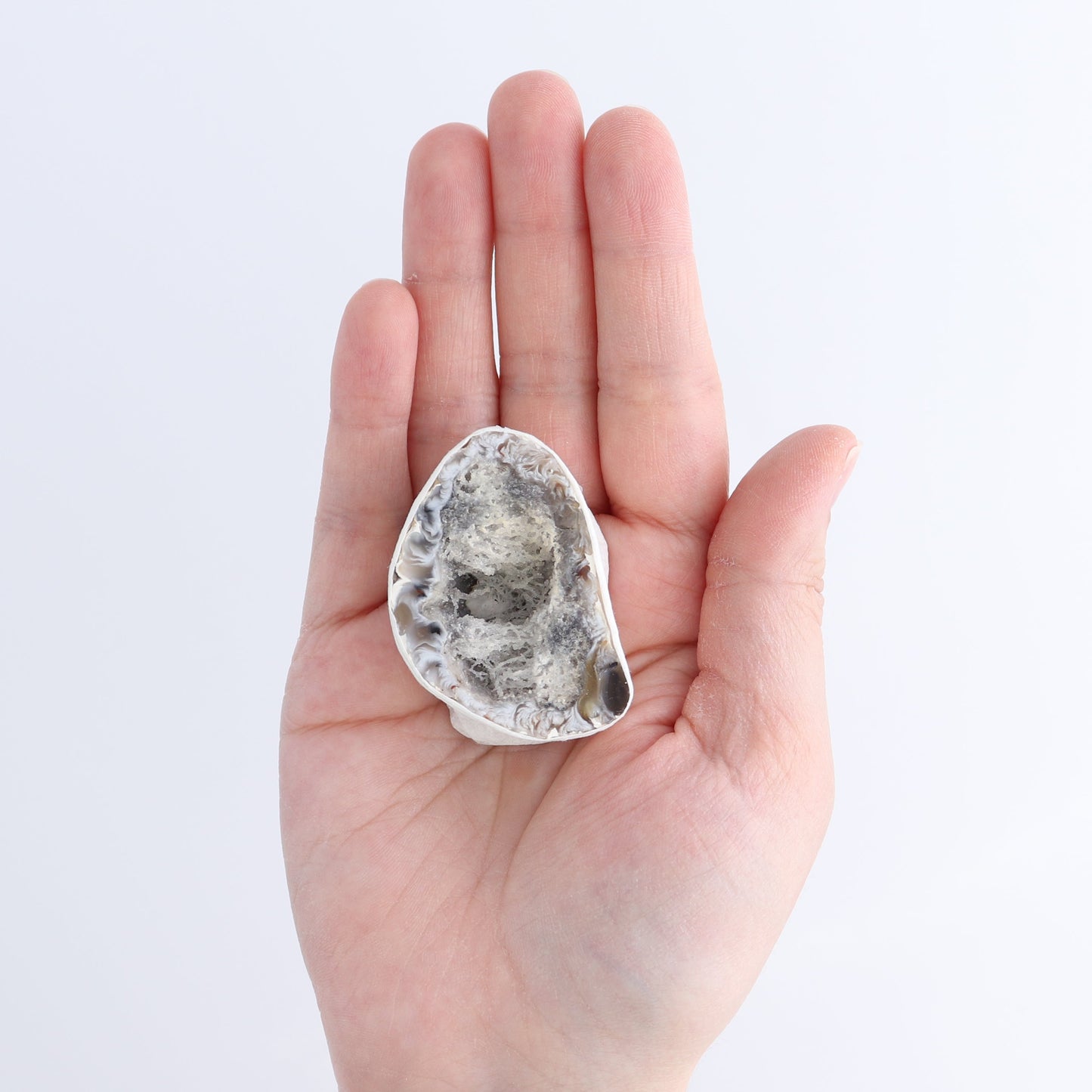 Agate Geodes Flat | Mi Esperanza Minerals | Supplier of Crystals and Onyx