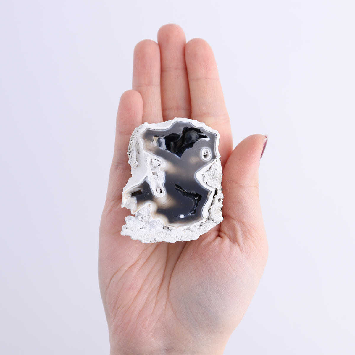 Agatized Coral Flat | Mi Esperanza Minerals | Supplier of Crystals and Onyx