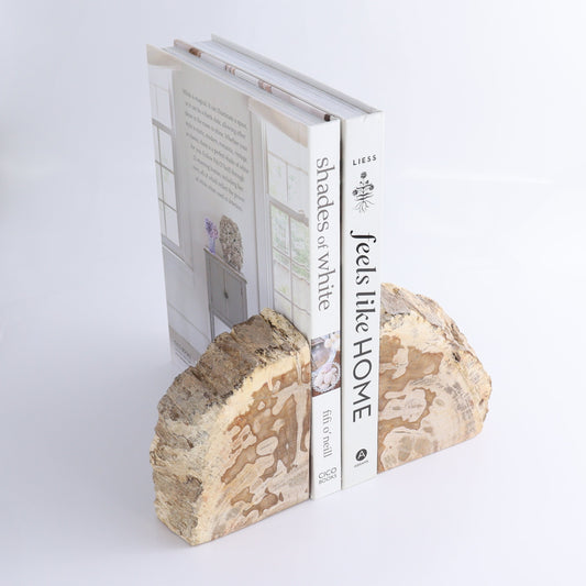 One Pair of Brown/Grey Tall Petrified Wood Bookends | Mi Esperanza Minerals | Supplier of Crystals and Onyx