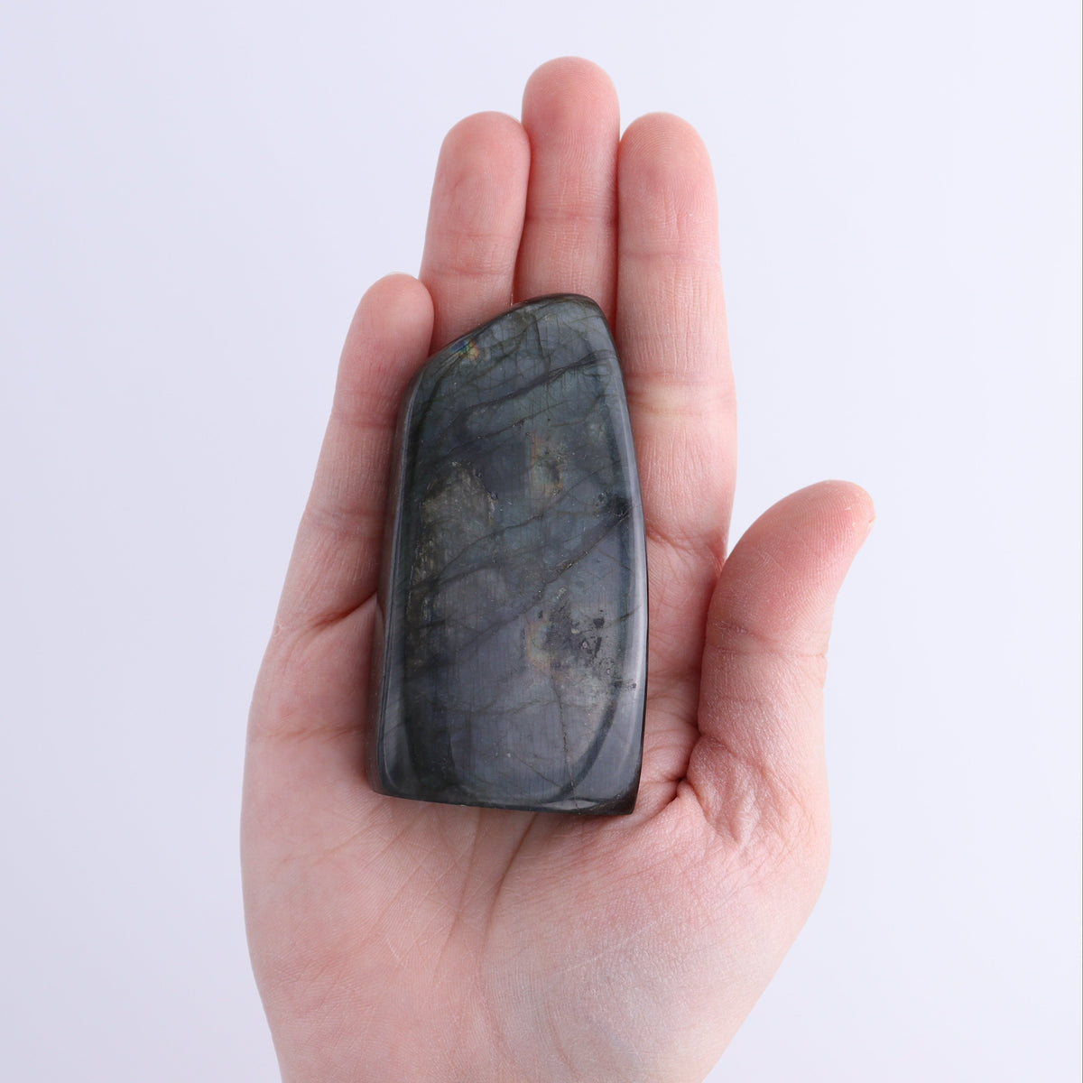 Labradorite Freeform Set of 20 | Mi Esperanza Minerals | Supplier of Crystals and Onyx