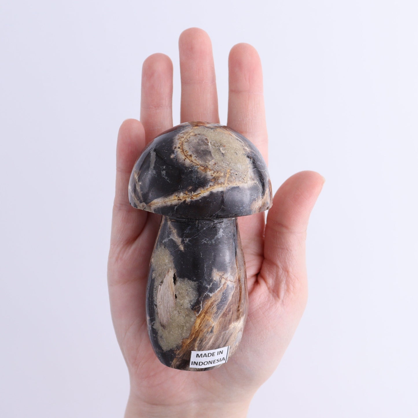 Petrified Wood Mushrooms Set of 4 | Mi Esperanza Minerals | Supplier of Crystals and Onyx