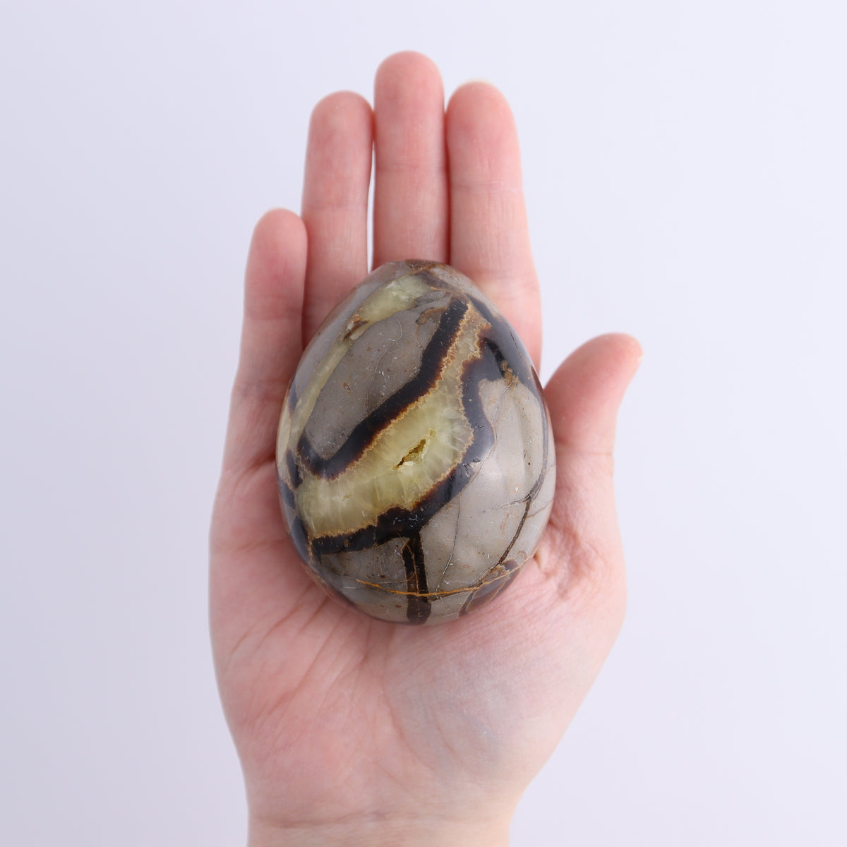 Septarian Eggs Set of 3 | Mi Esperanza Minerals | Supplier of Crystals and Onyx