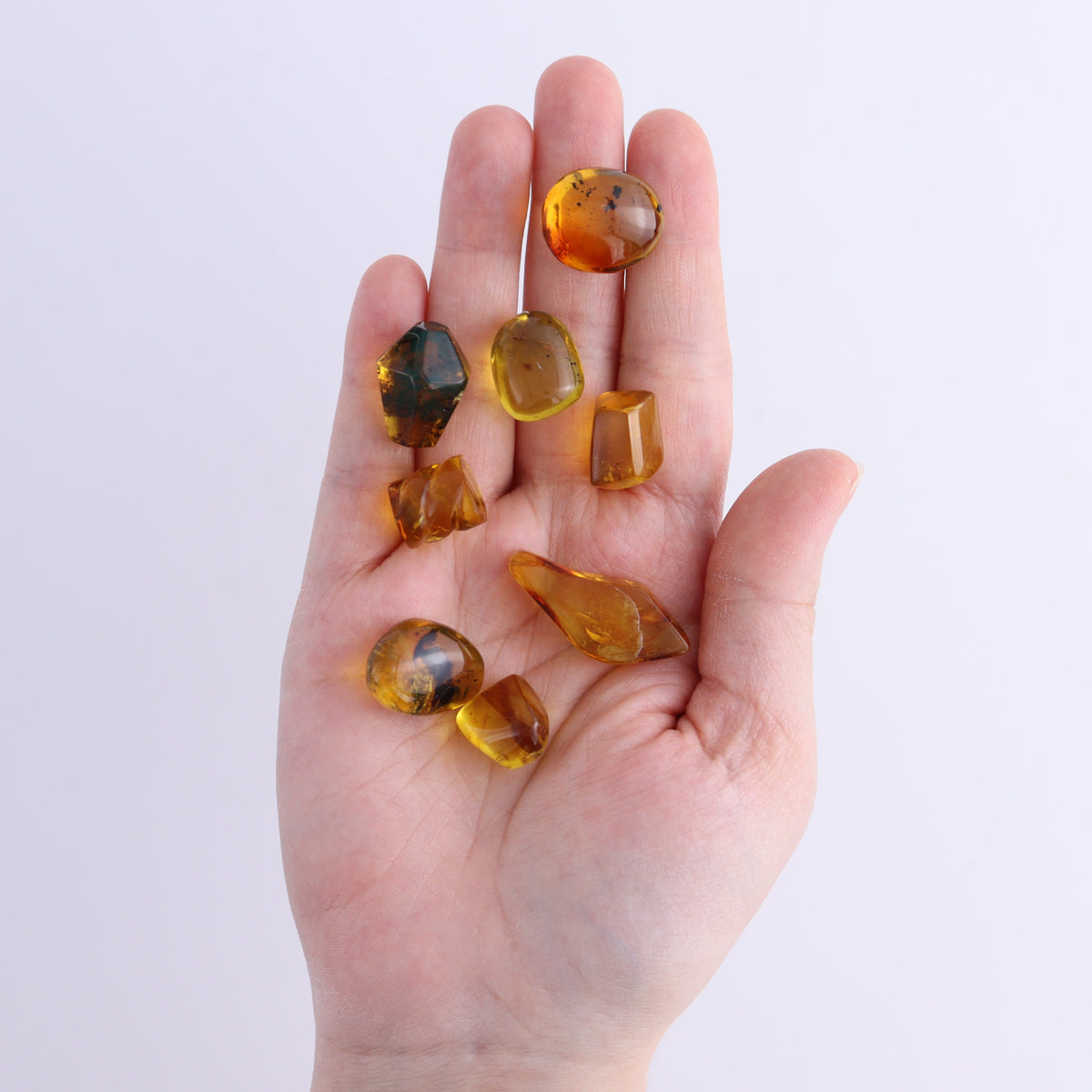 Chiapas Mexico Amber Freeforms Set of 8 | Mi Esperanza Minerals | Supplier of Crystals and Onyx