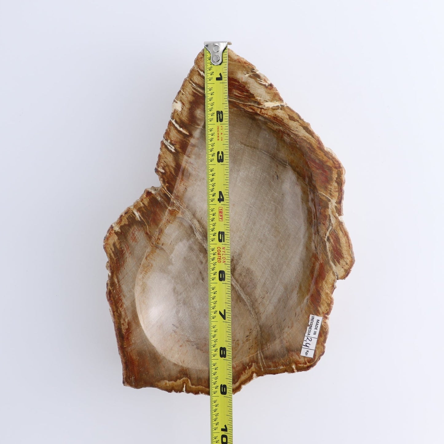 One Petrified Wood Brown Rough Bowl