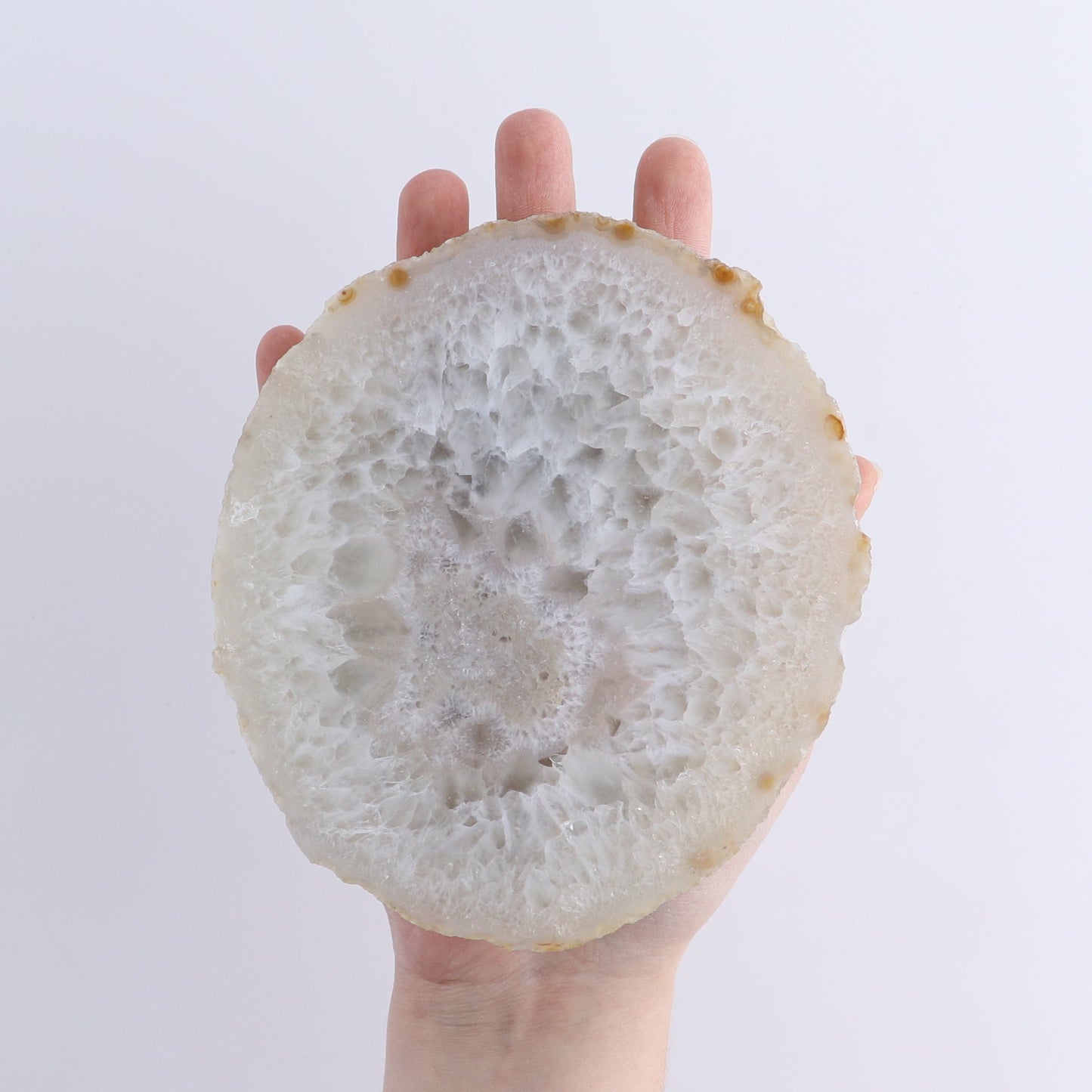 Agate Slices Set of 8 | Mi Esperanza Minerals | Supplier of Crystals and Onyx