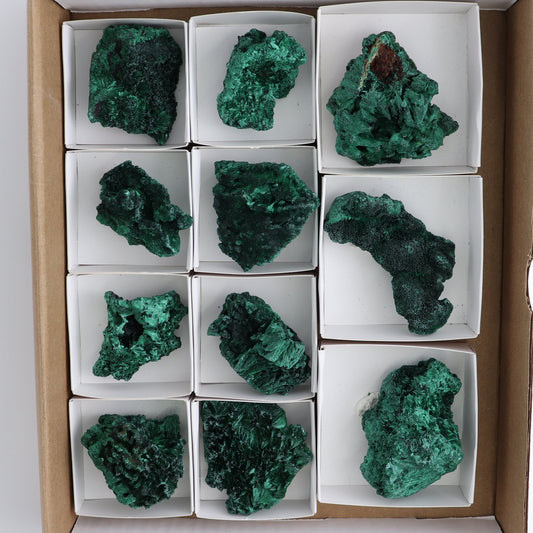 Malachite Freeforms Set of 9 - wholesale crystals