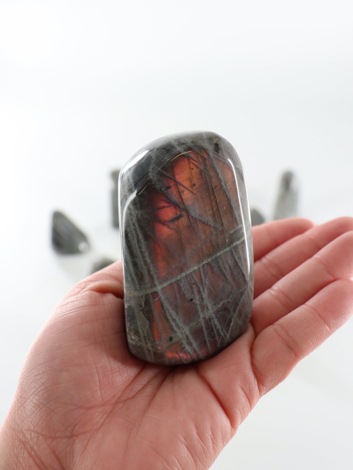 Labradorite Freeforms | Mi Esperanza Minerals | Supplier of Crystals and Onyx