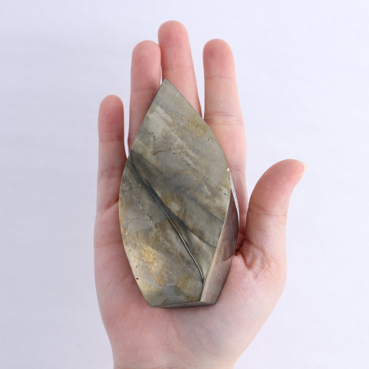 Pyrite Freeforms Set of 3