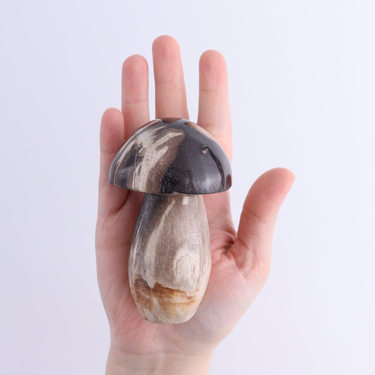 Petrified Wood Mushrooms Set of 4 | Mi Esperanza Minerals | Supplier of Crystals and Onyx