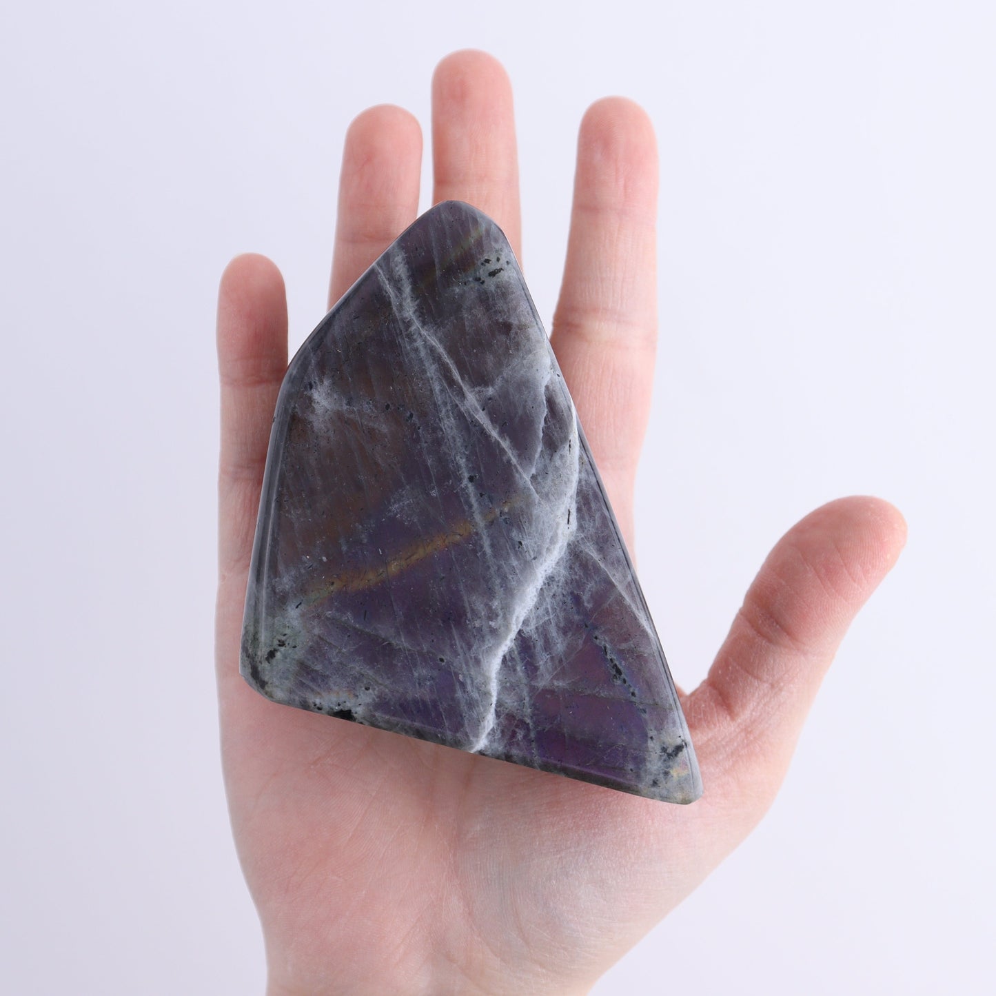 Labradorite Freeform Set of 4