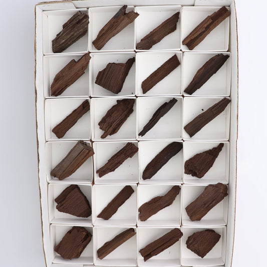 Permineralized Wood Flat of 24