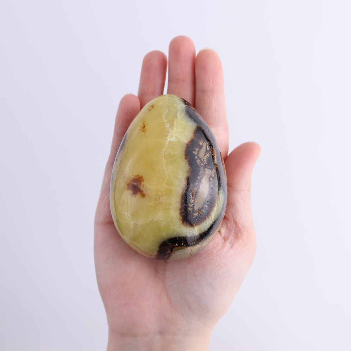 Septarian Eggs Set of 6 | Mi Esperanza Minerals | Supplier of Crystals and Onyx