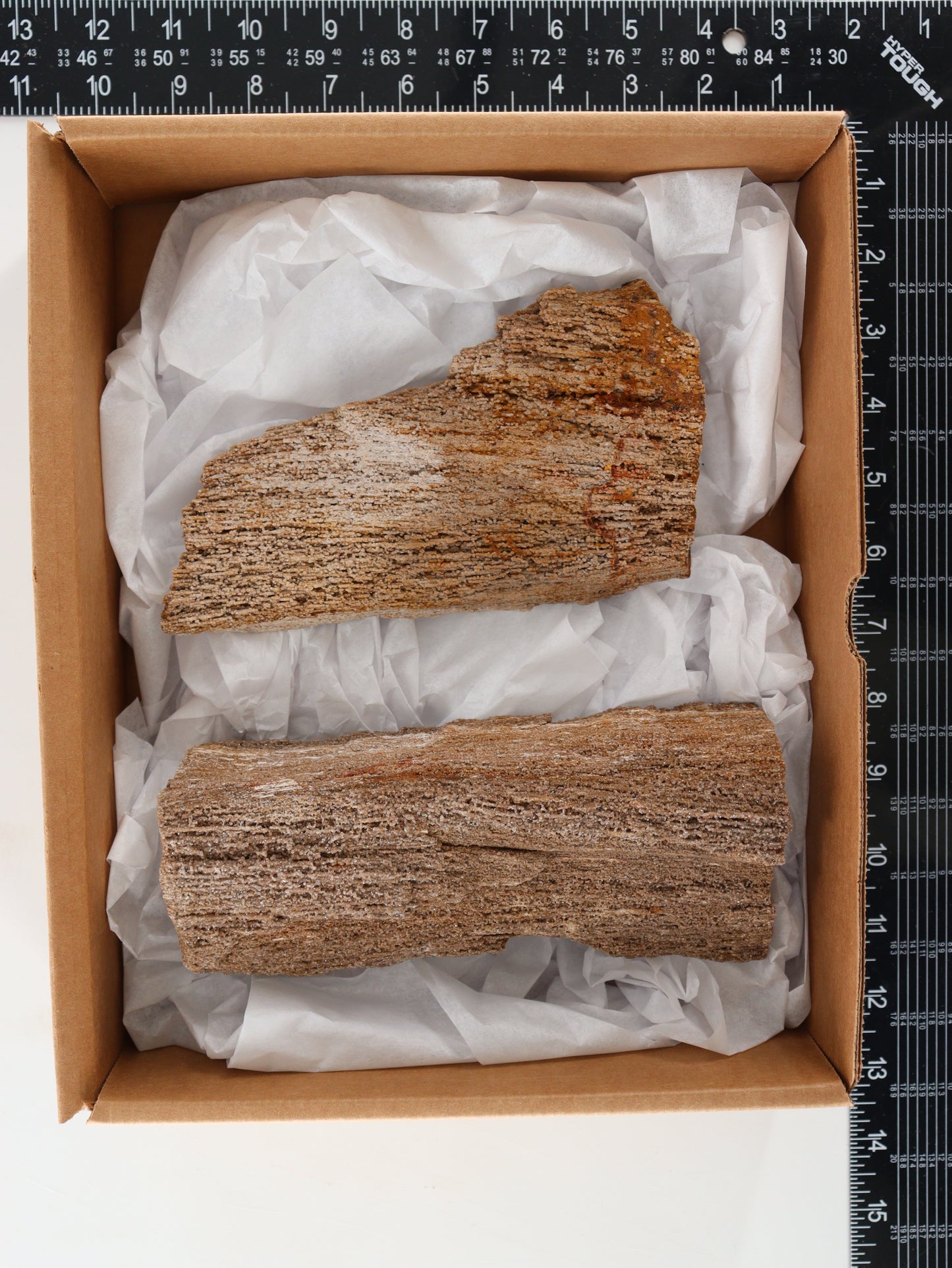 Rough Petrifried Wood Set of 2 | Mi Esperanza Minerals | Supplier of Crystals and Onyx