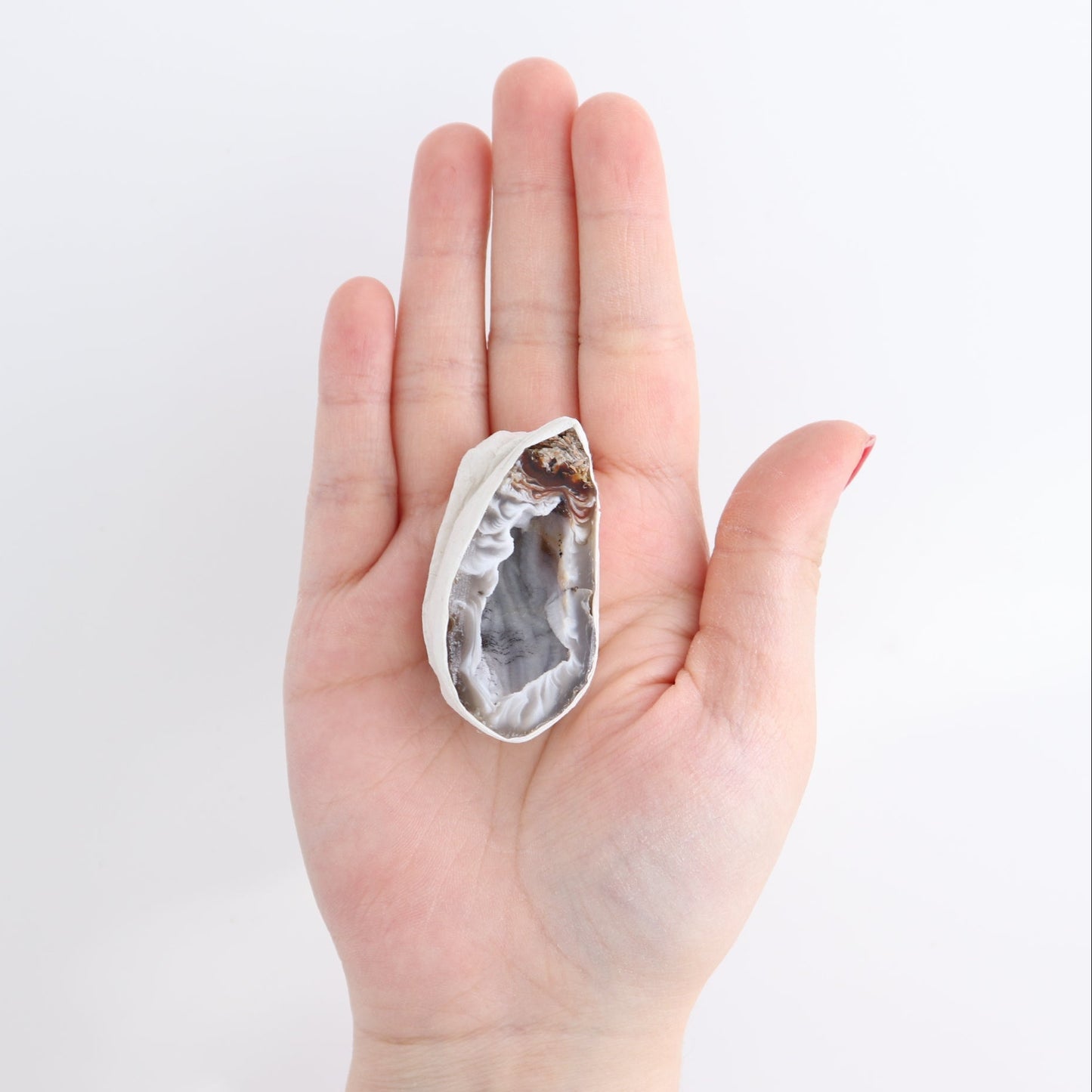 Agate Geodes Flat