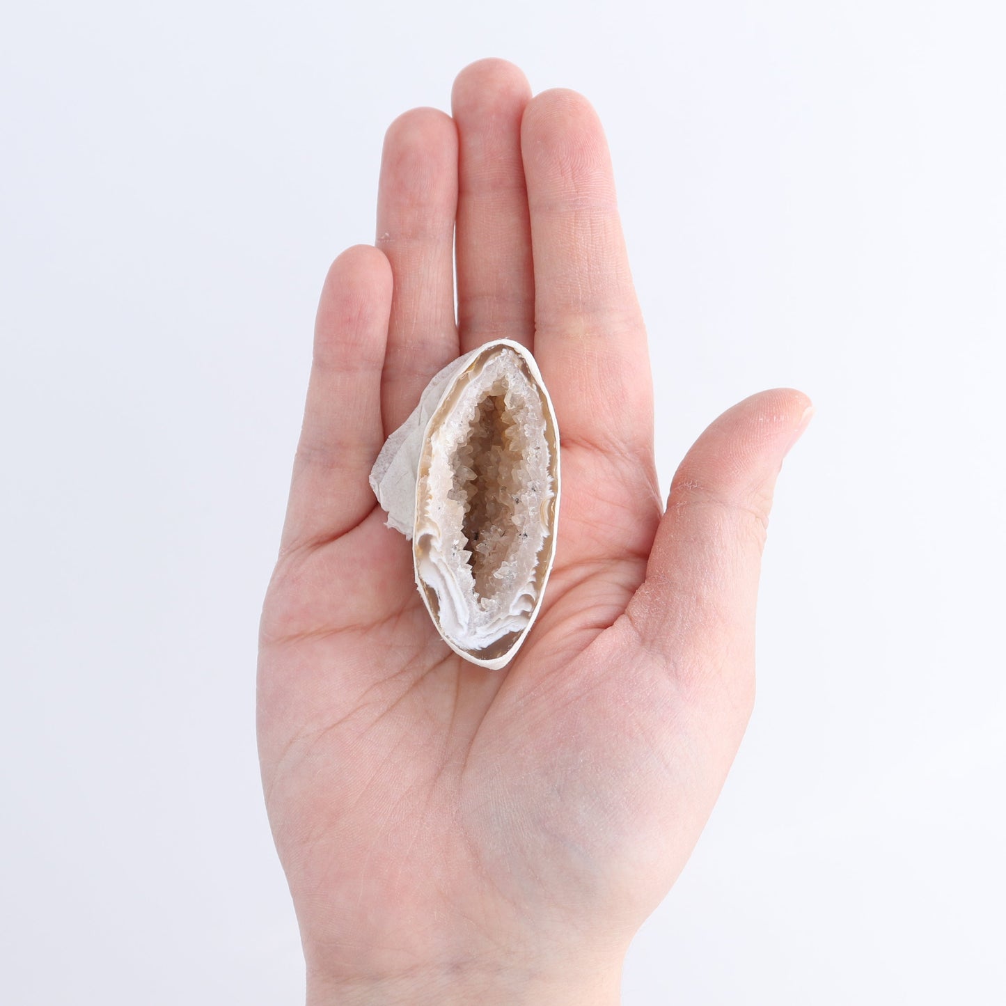 Agate Geodes Flat | Mi Esperanza Minerals | Supplier of Crystals and Onyx