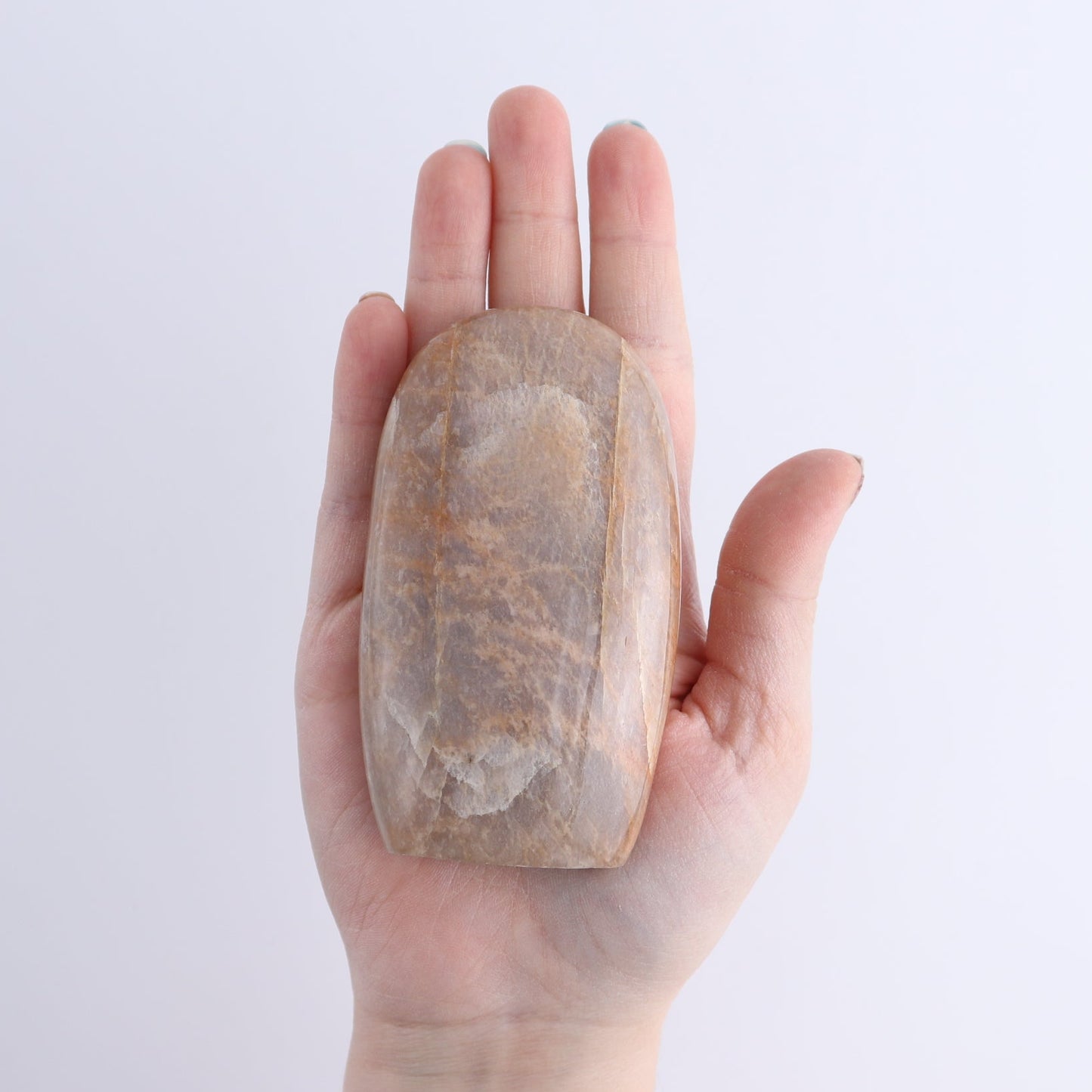 Peach Moonstone Freeform Set of 9