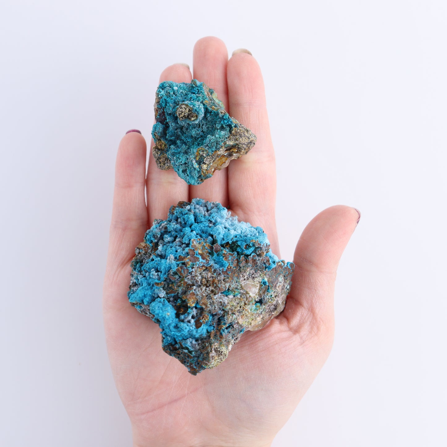 Chrysocolla on Quartz Roughs Set of 35 | Mi Esperanza Minerals | Supplier of Crystals and Onyx