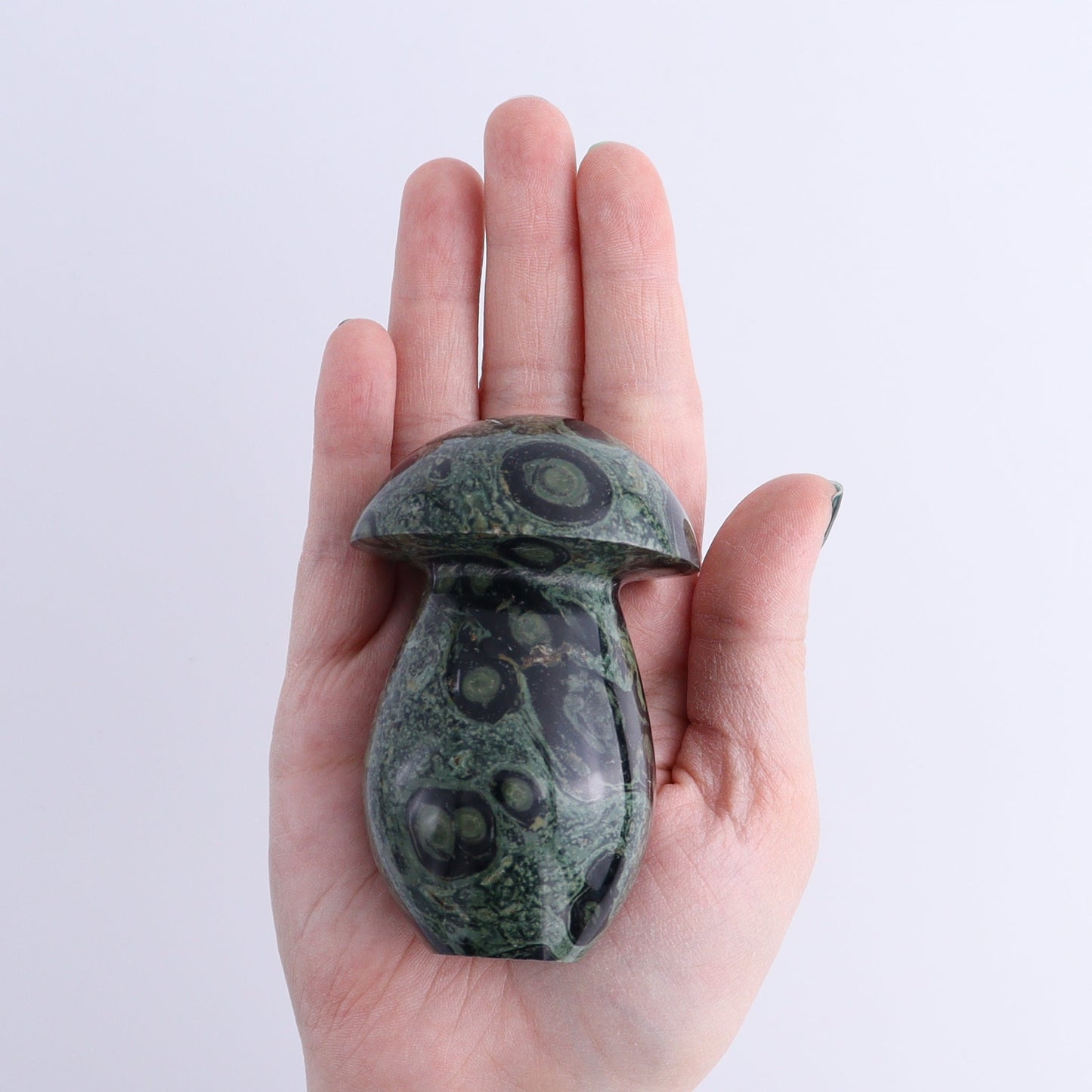 Kambaba Jasper Mushrooms Set of 7 | Mi Esperanza Minerals | Supplier of Crystals and Onyx