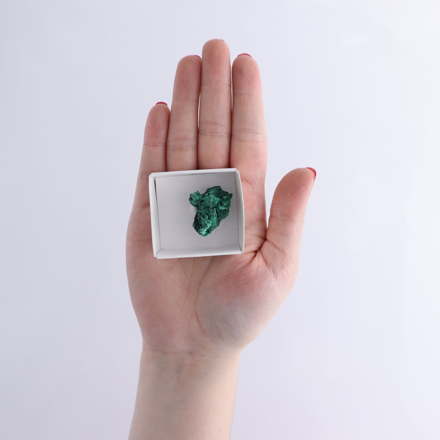 Malachite Flat of 30 | Mi Esperanza Minerals | Supplier of Crystals and Onyx