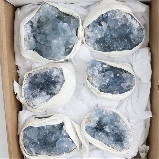 Celestite Clusters Set of 6