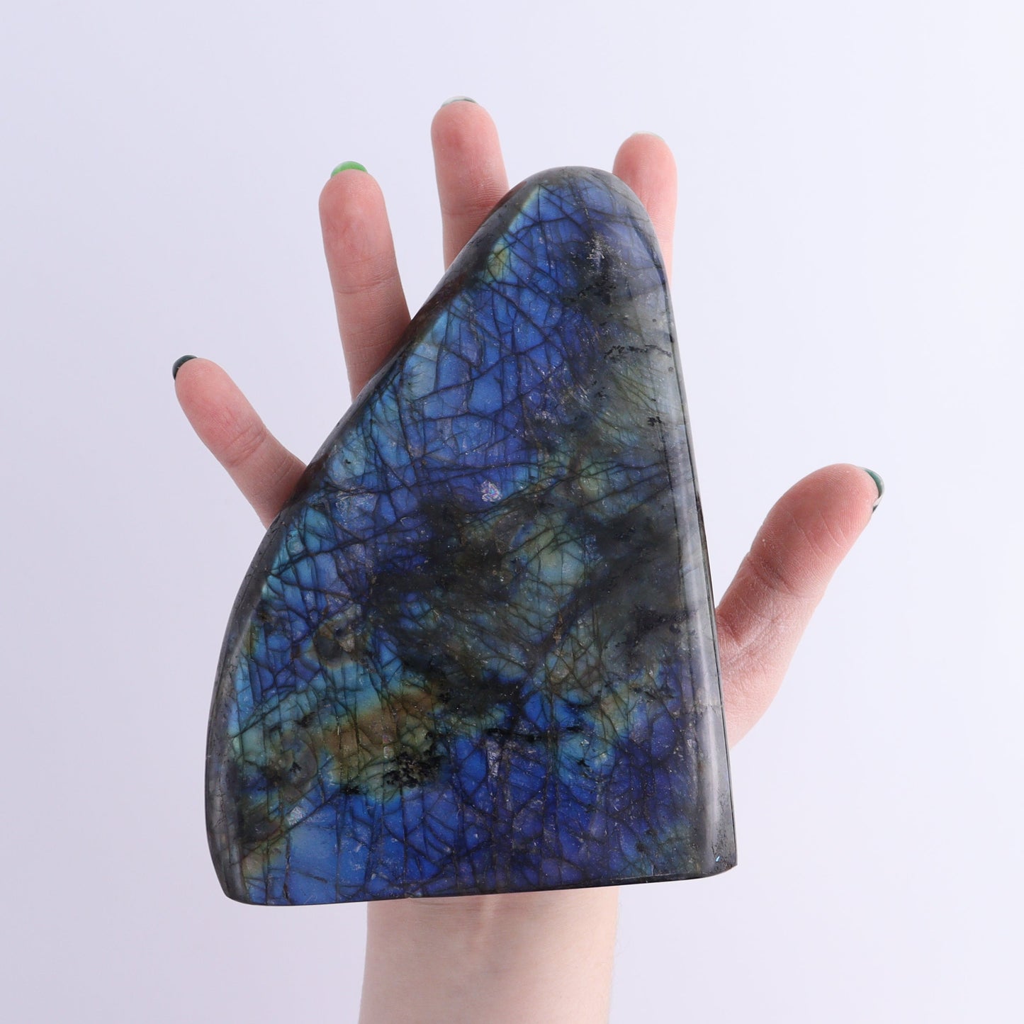 Labradorite Freeform Set of 2 | Mi Esperanza Minerals | Supplier of Crystals and Onyx