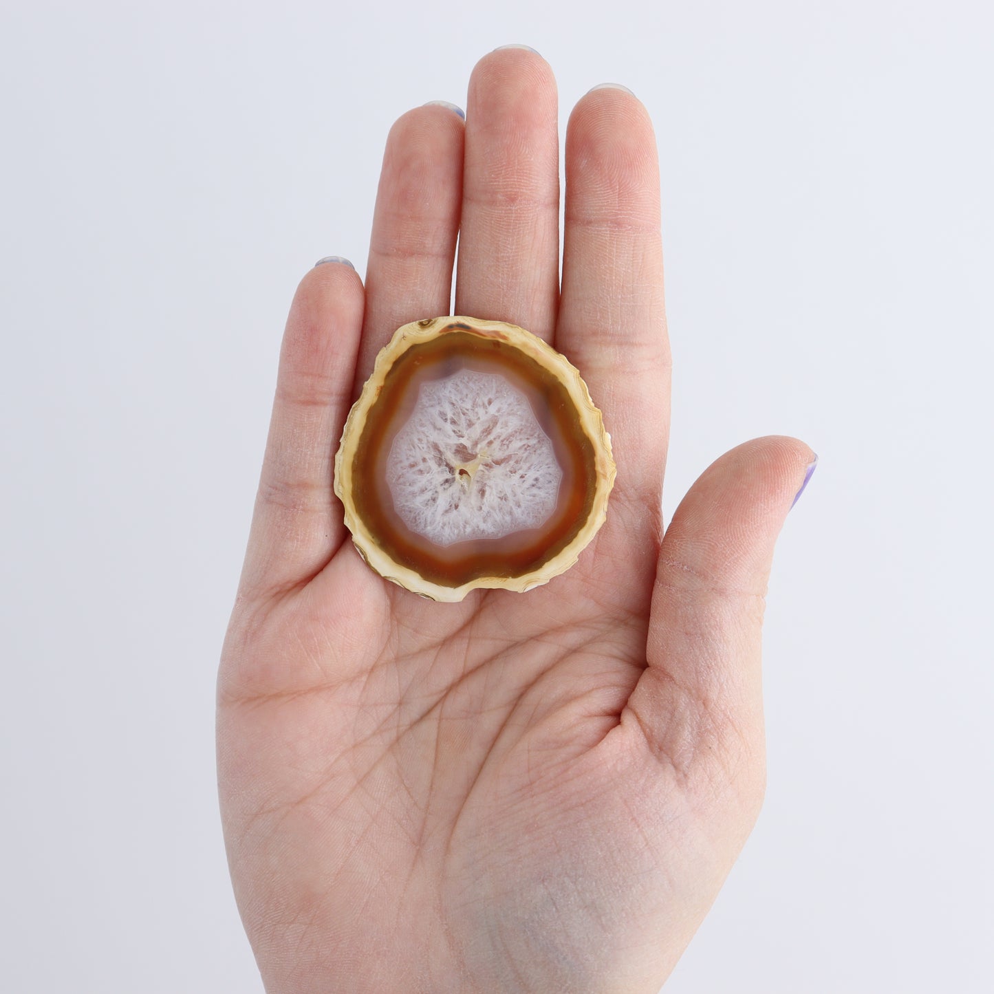 Iris Agate Slices Set of 6 | Mi Esperanza Minerals | Supplier of Crystals and Onyx