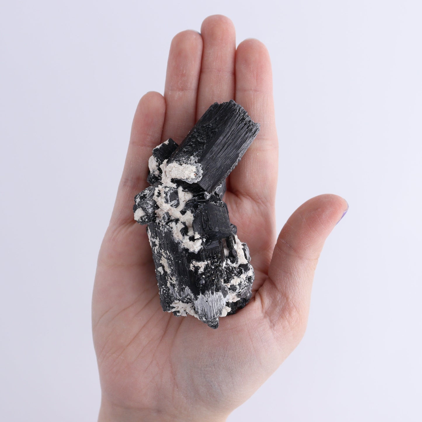 Schorl Tourmaline Flat of 30 | Mi Esperanza Minerals | Supplier of Crystals and Onyx
