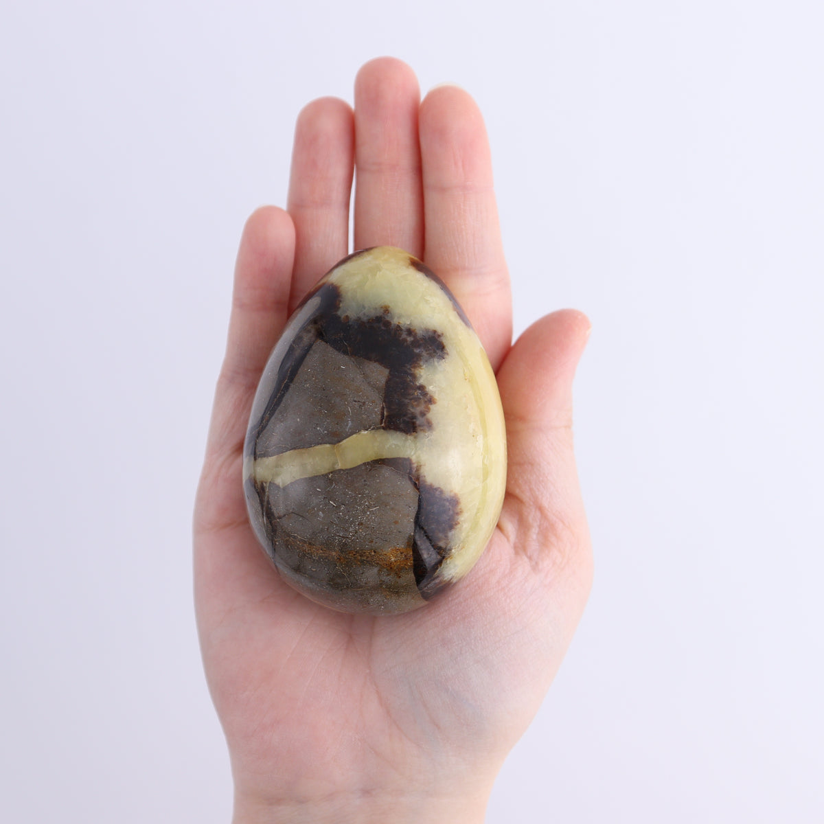 Septarian Eggs Set of 6 | Mi Esperanza Minerals | Supplier of Crystals and Onyx