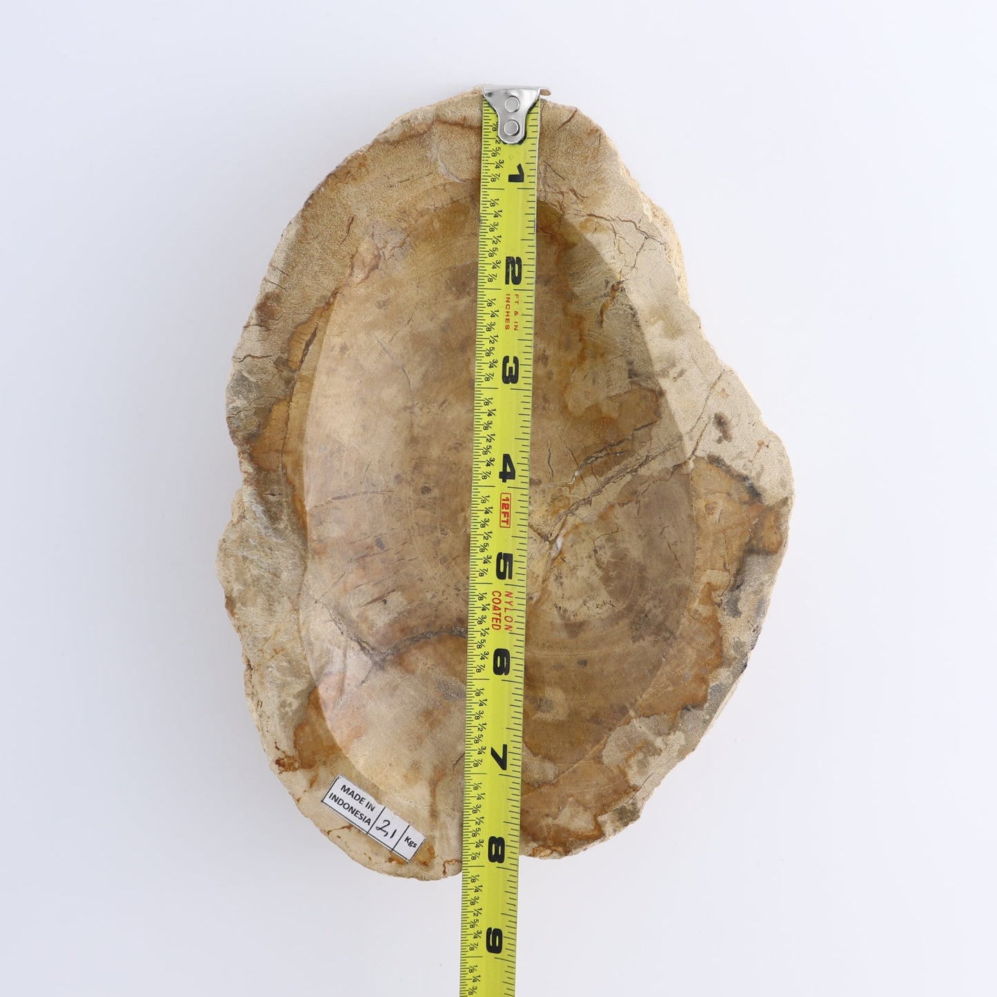 One Small Petrified Wood Brown Rough Bowl